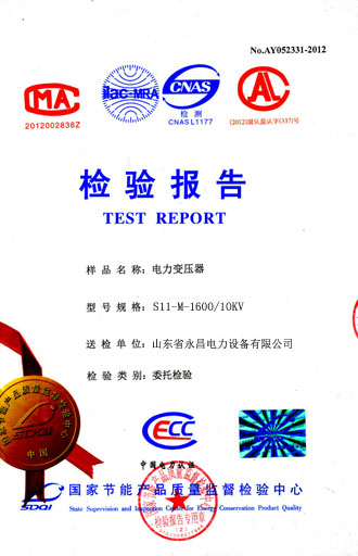 山南电力变压器检测合格报告